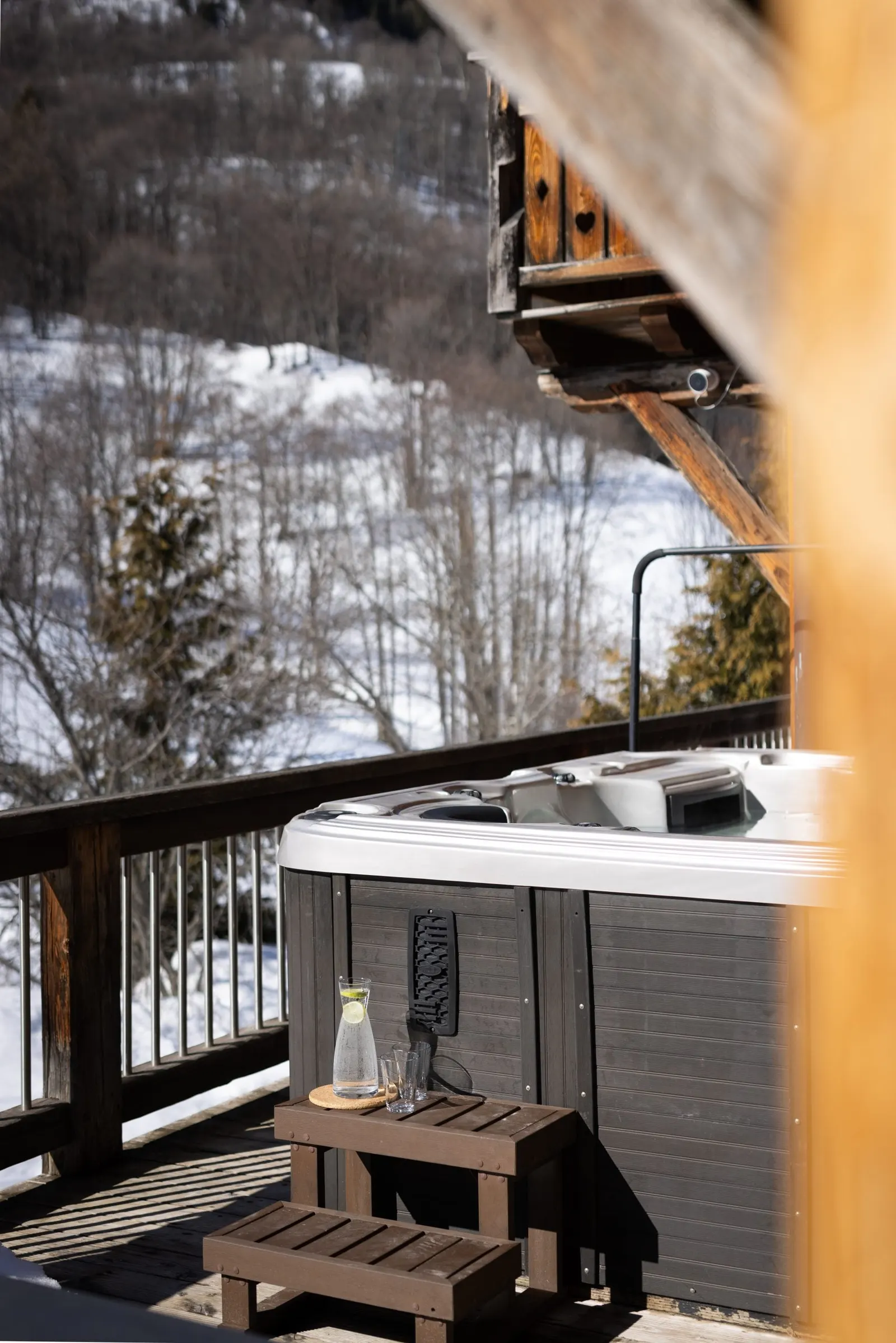 Chalet L'Orchidée — photo 5